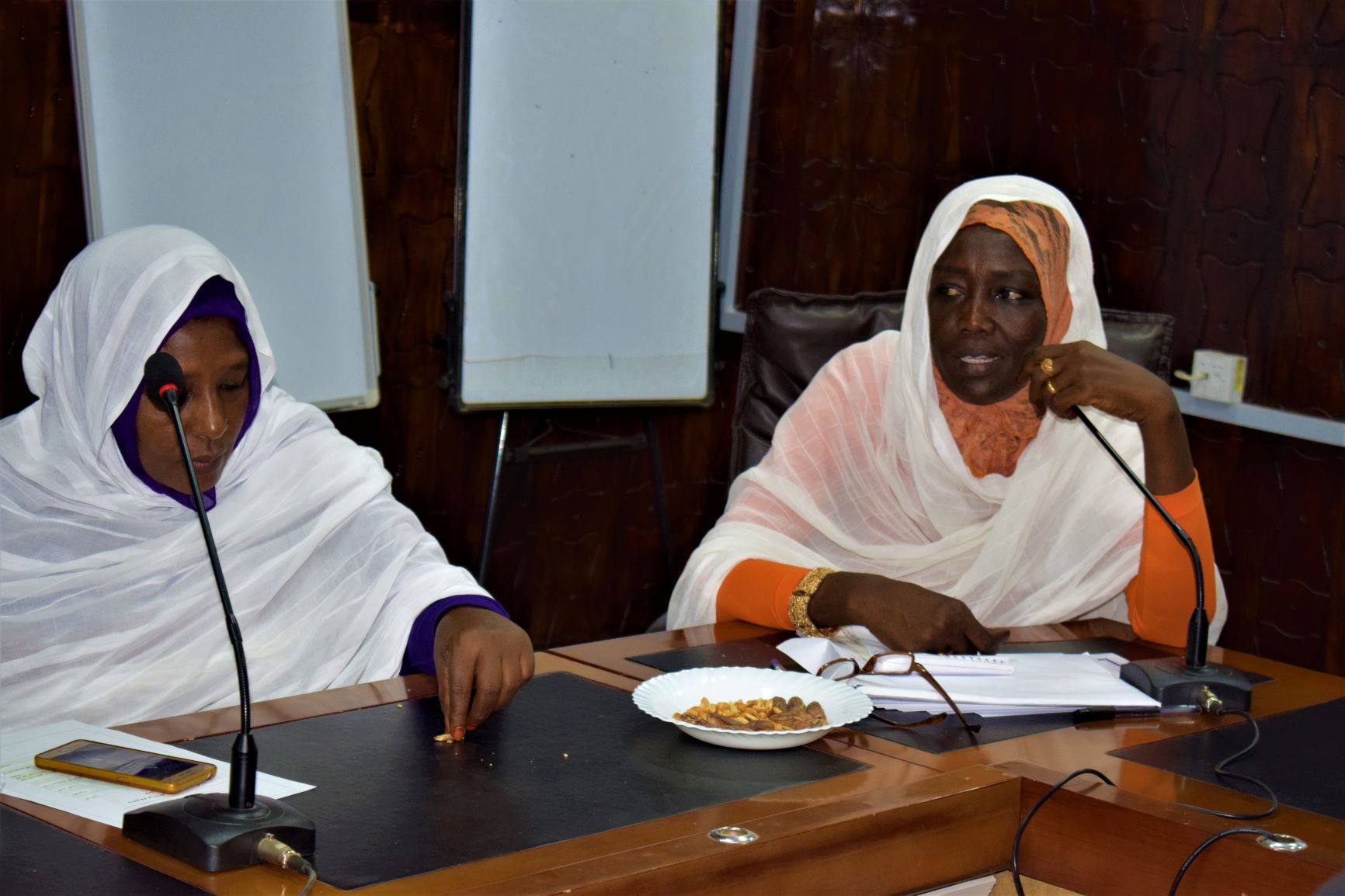 Training workshop on the monitoring and mapping of forests fires