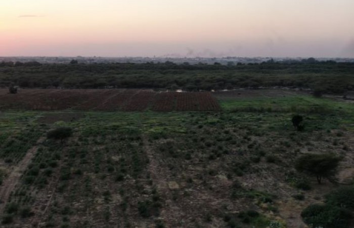 خلاوي ود المقبول بغابات أب جلفة ,انطلاقة المشورة للتقييم الاستراتيجي البيئي والاجتماعي لاستراتيجية الحد من اثار إزالة و تدهور الغابات