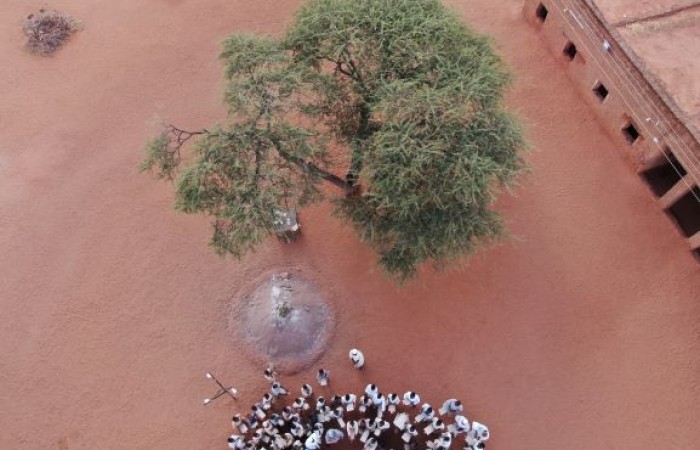 خلاوي ود المقبول بغابات أب جلفة ,انطلاقة المشورة للتقييم الاستراتيجي البيئي والاجتماعي لاستراتيجية الحد من اثار إزالة و تدهور الغابات