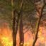 Workshop on Wildfire Management and Monitoring in Sudan October, 30, 2018