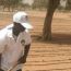 Participation of REDD+ in the Development of Sustainable School Feeding , seedling project , in North Kordofan State, 4 February 2018