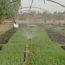 Awareness campaign on REDD+ at White Nile state