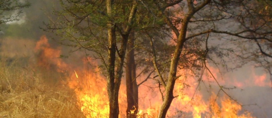 Workshop on Wildfire Management and Monitoring in Sudan October, 30, 2018