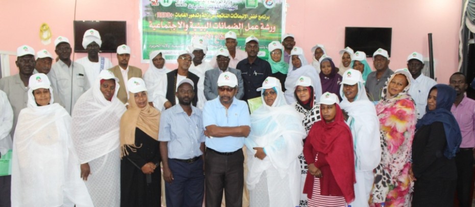 Workshop on  Social and Environmental Safeguards  for REDD+ , Central sector