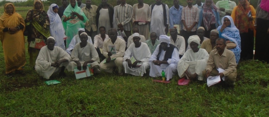 Awareness campaign on REDD+ at Al Gedaref