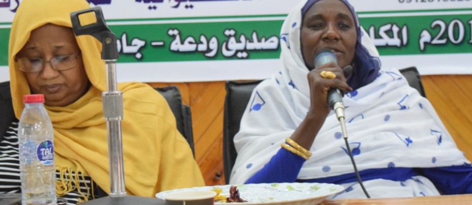 ورشة عمل تدريبية عن الضمانات البيئية والاجتماعية  بقطاع دارفور