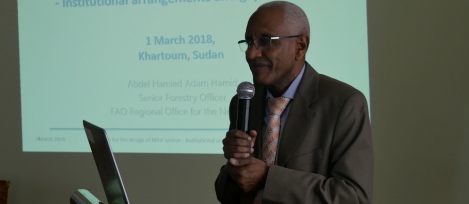 Support for the Design of a Monitoring, Reporting and Verification System, Institutional arrangements and gap analysis, 1 March 2018