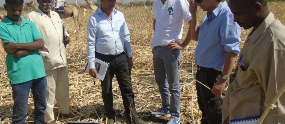 زيارة وفد من البنك الدولى لبرنامج خفض الانبعاثات الناتجة عن ازالة وتدهور الغابات