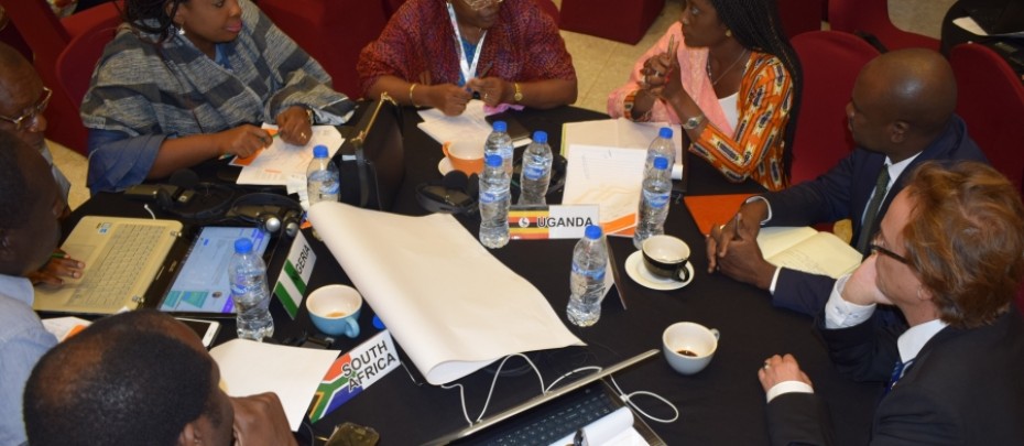 Regional Exchange Workshop on Designing and implementing the REDD+ Strategy and Emissions Reduction Program